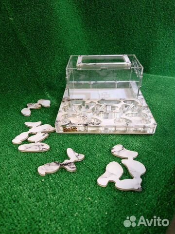 Муравьиная ферма, формикарий, муравьи жнецы