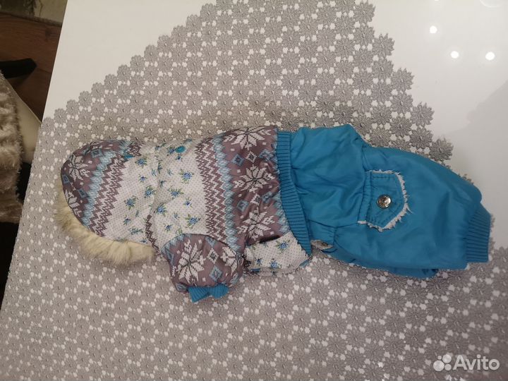 Одежда для собак мелких пород