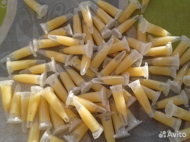 Цитокининовая паста (отправлю по России)