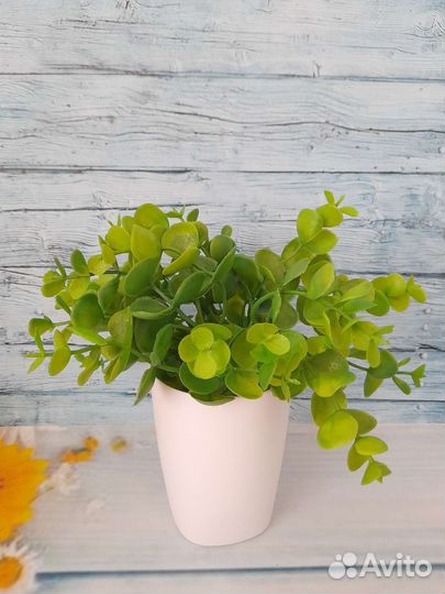 Осока искусственная травка