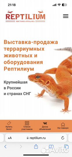 Билет на рептилиум на вс, 8.10.23