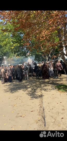 Катание на лошадях карета и лошадь для фотосессии