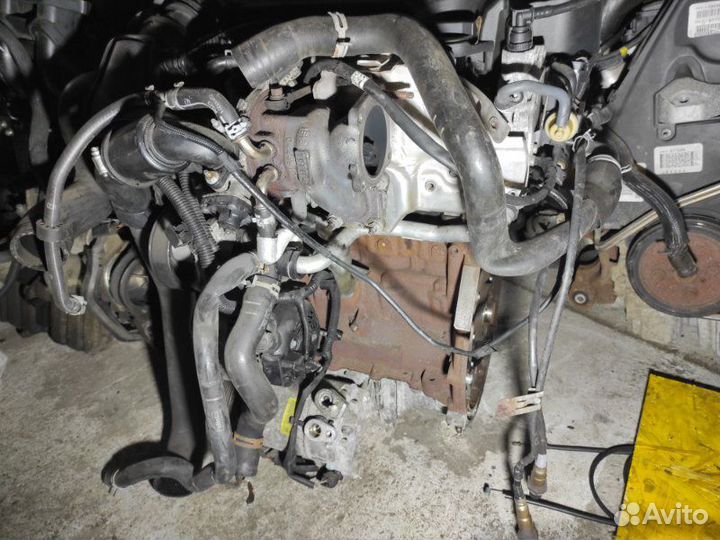 Двигатель Ford Focus 3 CB8 1 L ecoboost 2012