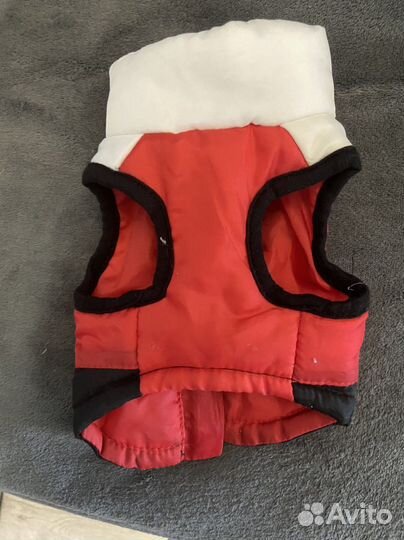 Одежда для собак