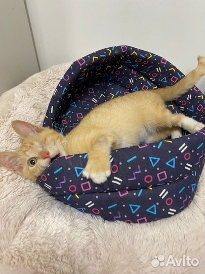 Кому особенное солнышко