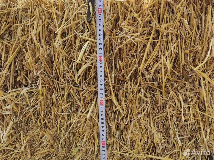 Солома в тюках с доставкой