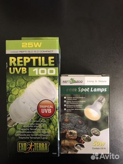 Все для рептилий