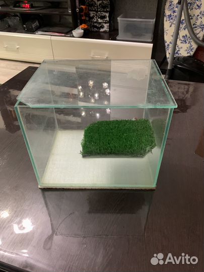 Аквариум для маленьких черепах