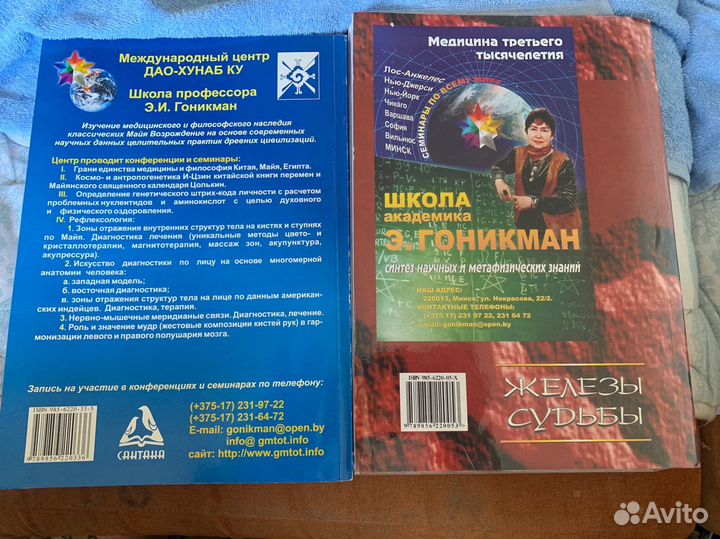 Э.И. Гоникман книги