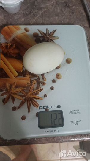 Инкубационное яйцо утки Каюги