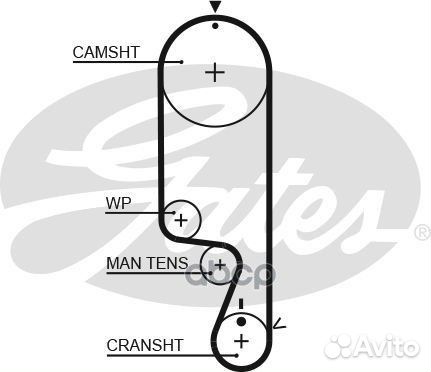 Комплект ремня грм daewoo matiz 01/03