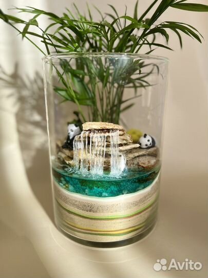 Флорариум Подарок