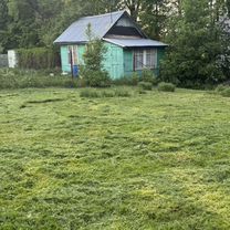 Покос травы. Борщевика. Сухостоя. Бурьяна, Красноармейск