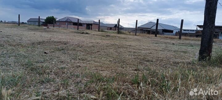 Косим траву