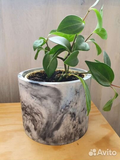 Интерьерные композиции, кашпо из бетона