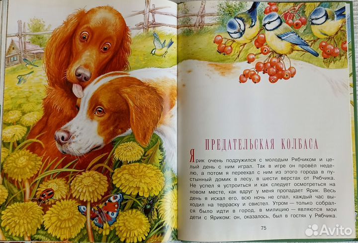 Книги для детей