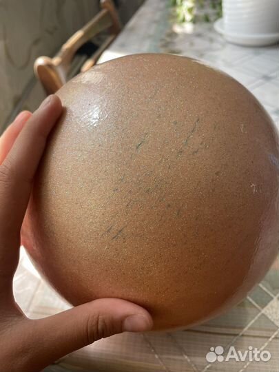 Гимнастический мяч