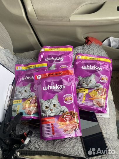 Продам Сроки очень хорошие