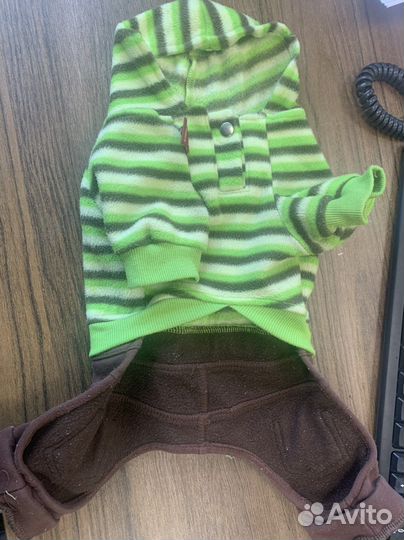 Костюм для собаки трикотаж