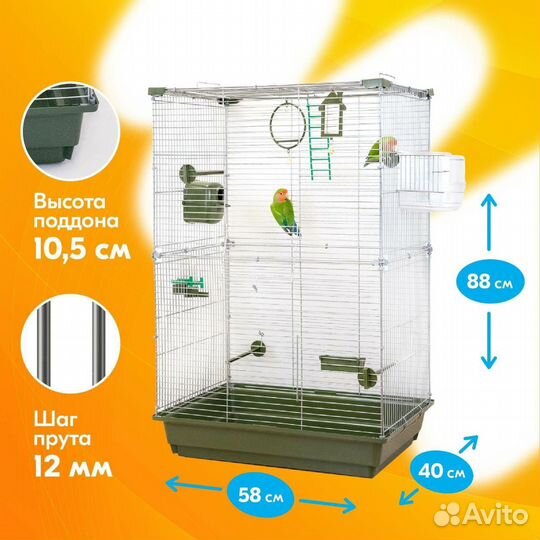 Продам попугая Кореллу вместе с клеткой