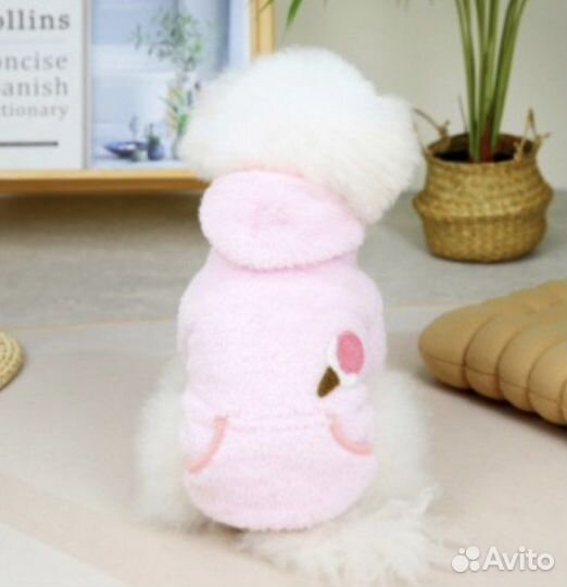 Новая одежда для собаки