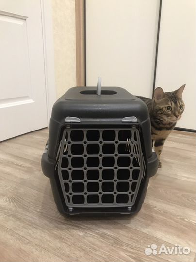 Переноска для кошек новая