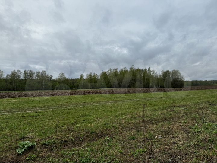 Участок 36 га (СНТ, ДНП)