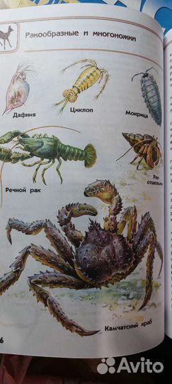 Книги учебники