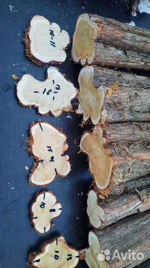 Спилы,стволы дерева можжевельник для декора