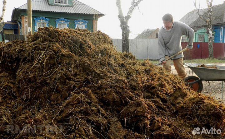 Навоз коровий