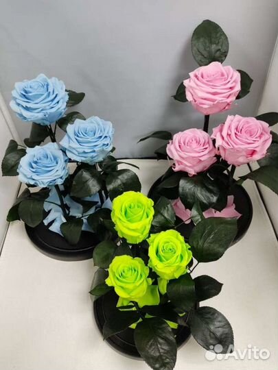 Роза в колбе оптом