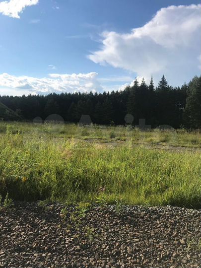 Участок 22 га (СНТ, ДНП)