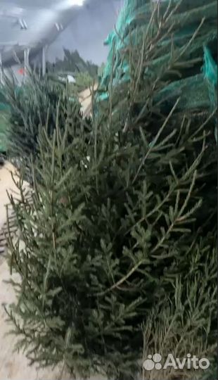 Елка новогодняя опт розница