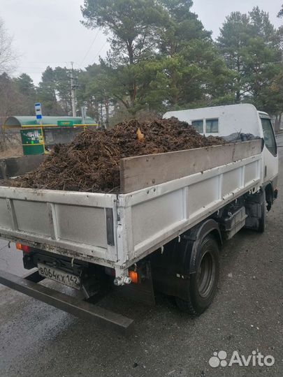 Пщс, песок, перегной, опилки, земля, уголь, дрова