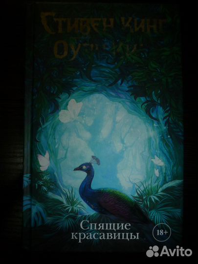 Книга: Стивен Кинг - Спящие Красавицы