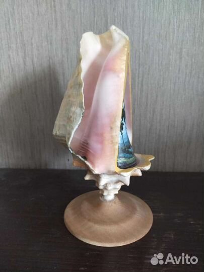 Большая ракушка, Куба