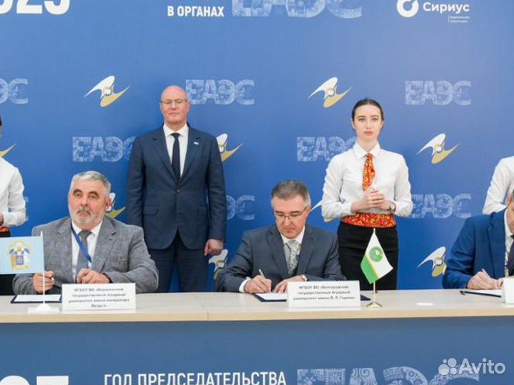 Репетитор по английскому языку