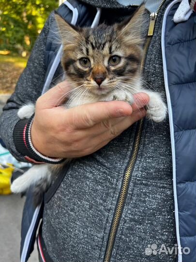 Милое маленькой чудо в дар
