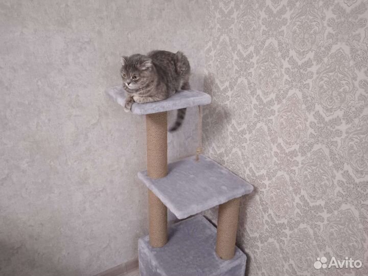 Домик для кошки с когтеточкой