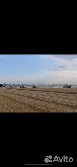 Услуги по уборке урожая зерновых