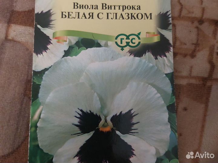 Виола белая