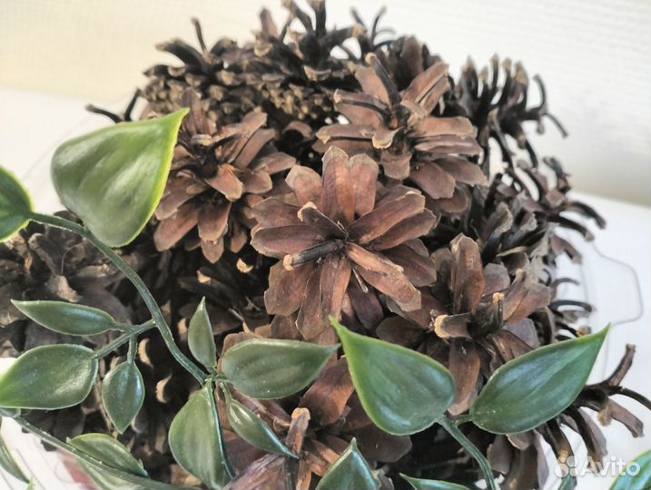 Шишки сосновые для поделок декора интерьера