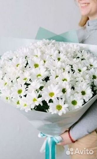 Хризантема