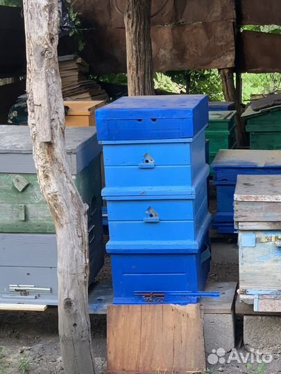Улей для пчел