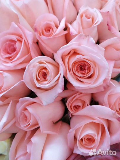 Продавец флорист