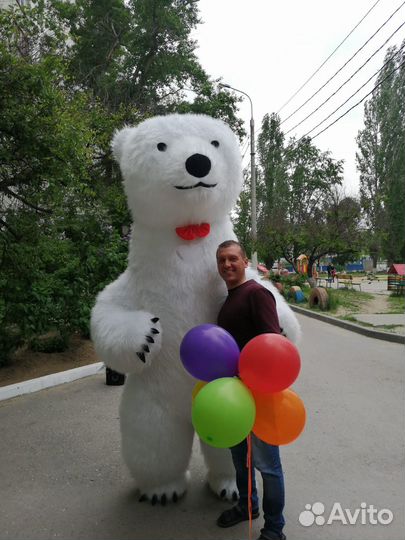 Белый ростовой медведь поздравление большой мишка
