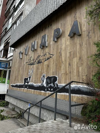 Художественная роспись стен, художник Мурманск