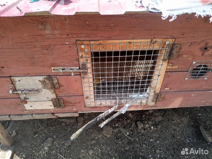 Клетка для кроликов