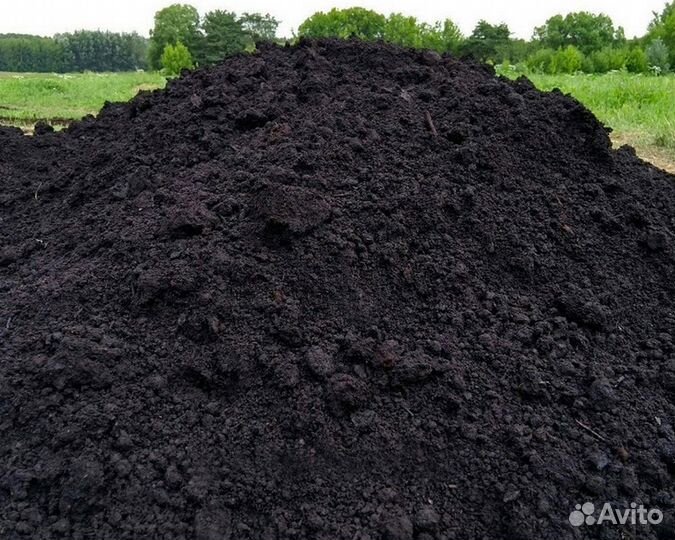 Чернозем луговой