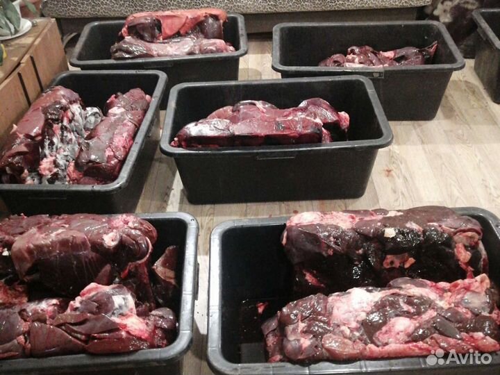 Мясо, рубец для собак